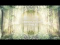 Conversations with The Z’s: The Energetics of the New Human Soul - Part 4