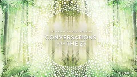 Conversations with The Zs: The Energetics of the N...
