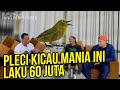 Akhirnya Prio Excellent Bahas Pleci, Bareng Pleci Mania Bandung Selatan