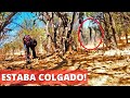 INCREÍBLE!! APARECIÓ a unos METROS COLGADO en el ÁRBOL!! Nos Quiere llevar a su TESORO?