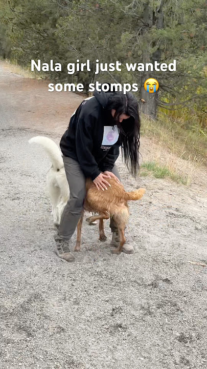 Nala said ready or not, thrudalegss 😂