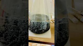 Determines Its Theoretical Maximum Specific Gravity Gmm .