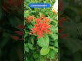 #motivational #motivationalSpeaks #shorts #treanding #viral #youtubeshortsviral #shortvideos