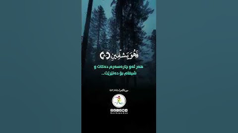 تلاوة خاشعة تهز القلوب بصوت يريح النفس ويشرح الصدر | قرآن كريم يدمع له القلب