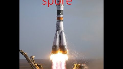 SPORE space stage