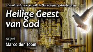 Heilige Geest van God | Amsterdam, Oude Kerk | MARCO DEN TOOM