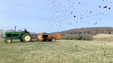 Spreading Spring Manure on the Hayfields!