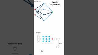 What is a Neural Network?