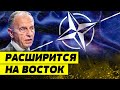 Нравится, не нравится — НАТО РАСШИРЯЕТСЯ! Кого собираются ПРИНЯТЬ в Альянс?