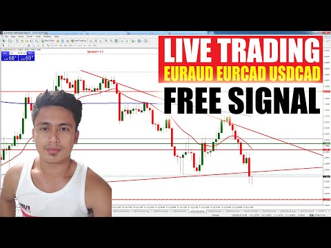 Live Forex Trading in EURAUD EURCAD USDCAD using XM Free Signals and Technical Analysis