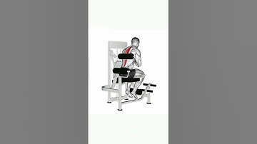 seated back extension workout workout#back 3D animation video#