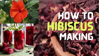 Hibiscus Making Drink Scus