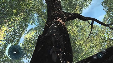 Assassins Creed 3 Walkthrough part 43 (HD)