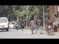 كلاب اجري يلا