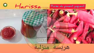 طريقة تحضير الهريسة المنزلية بالفلفل الأحمر الحار والثوابل Harissa