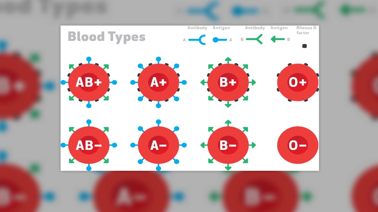 Does Blood Group Determine Cancer YouTube