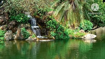 منظر جميل ورائع مع تلاوة جميله تريح القلوب