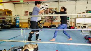 2022050603 toellgym.com