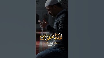 قرآن كريم القارئ: #رعد_الكردي || ستوريات انستجرام دينيه // فيديو قصير // راحه نفسية