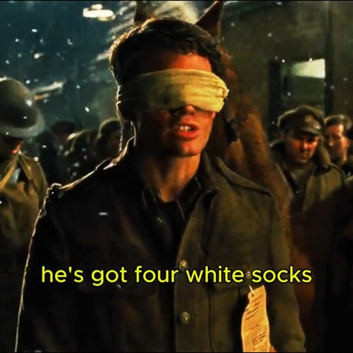 four white socks and a white mark here I Narracott and Joey I War horse (2011) @trending #edit
