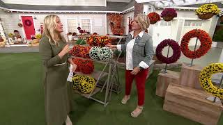 Wicker Park Harvest Faux Mum Front Door Collection on QVC