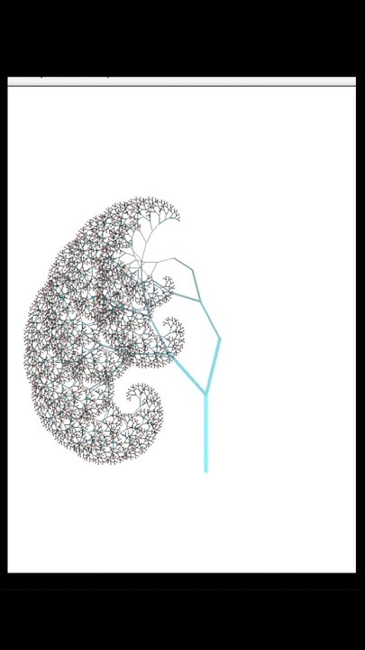 How to create graphics using Python turtle 🐍🐢 #coding - YouTube