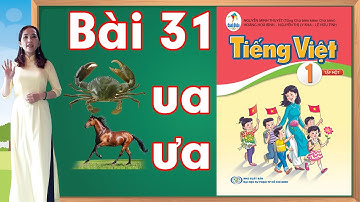 Tiếng việt lớp 1 sách cánh diều - Bài 31 |Học âm ua, âm ưa
