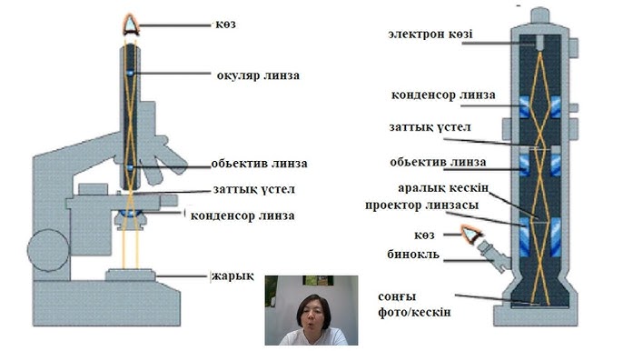 Ол қызметші қызды қолымен қатты трафик етті (порно онлайн) Әйелі еңкейіп кетті