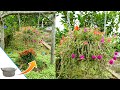 Super lovely hanging garden, Recycling broken Cookware into lovely flower pots