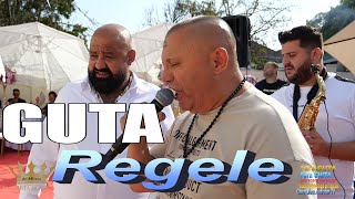 Guta REGELE nou 2024 -  De intrebi 1000 de oameni - Nunta Bebe din Colonie