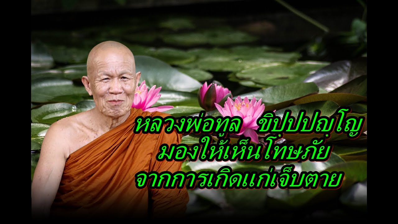 หลวงพ่อทูล  ขิปฺปปญฺโญ  มองให้เห็นโทษภัยจากการเกิดแก่เจ็บตาย