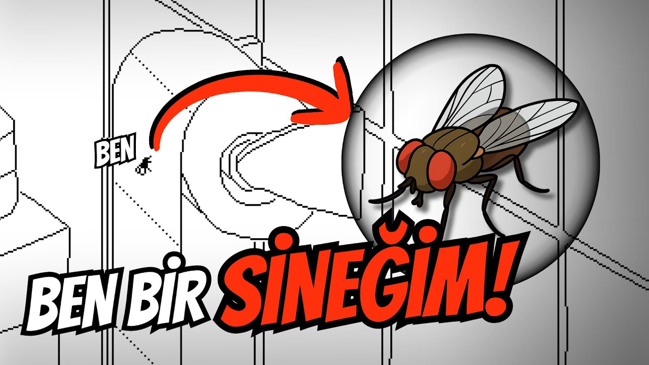 BEN BİR SİNEĞİM 🪰 | Time Flies