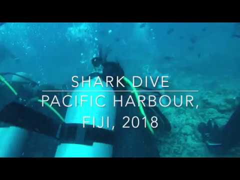 Fiji Shark Dive