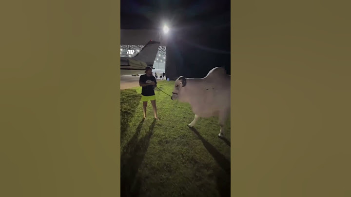 Vingança? Nattan tenta 'roubar' vaca valiosa de Henrique e Juliano #shorts