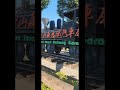 阿里山~森鐵 #嘉義#taiwan  #cute  #shorts#fyp#shortvideo#viralvideo#lyrics #music #love #cc