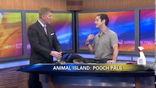 Animal Planet feat. Pooch Pals CEO, Marc Elias by Pooch Pals 318 views 9 years ago 4 minutes, 39 seconds