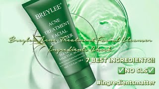 Acne Treatment Facial Cleanser by Breylee Ingredients Check