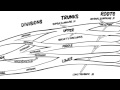 The brachial plexus animated review