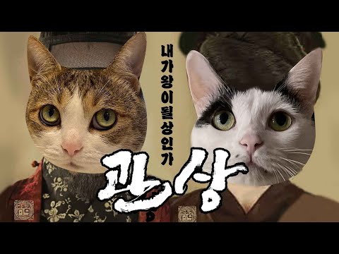 sub) 고양이 얼굴만 봐도 성별 구분 완전 가능!! 암컷 수컷 놀라운 차이점(수명,성격, 질병 등)