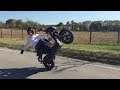 Mbk stunt 2016 i que des wheelings frottage de bavette circles une main