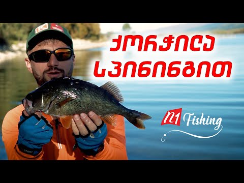 შაორის მონსტრები