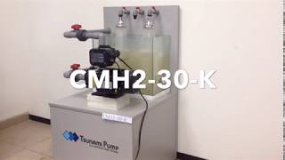 Tsunami Pump CMH2 30 K Demo