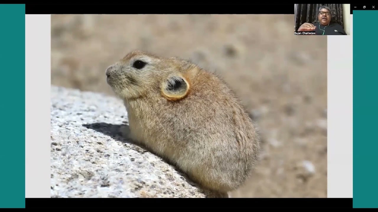 Naturetrek Roadshow: Wildlife of Ladakh, India