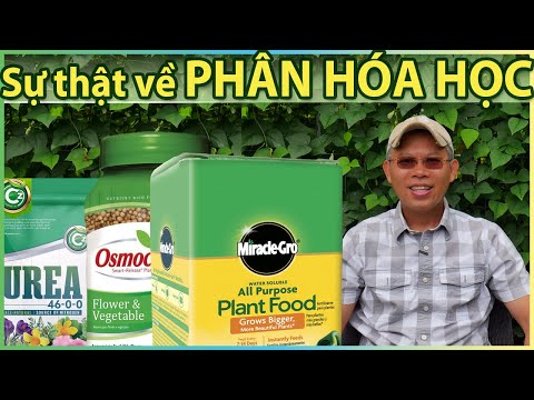 Video Sự thật về PHÂN HÓA HỌC. Ảnh hưởng trên đất trồng, cây... - youtube