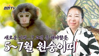(전라도점집) 2020년 양력 5,6,7월 원숭이띠운세!! [점점tv]