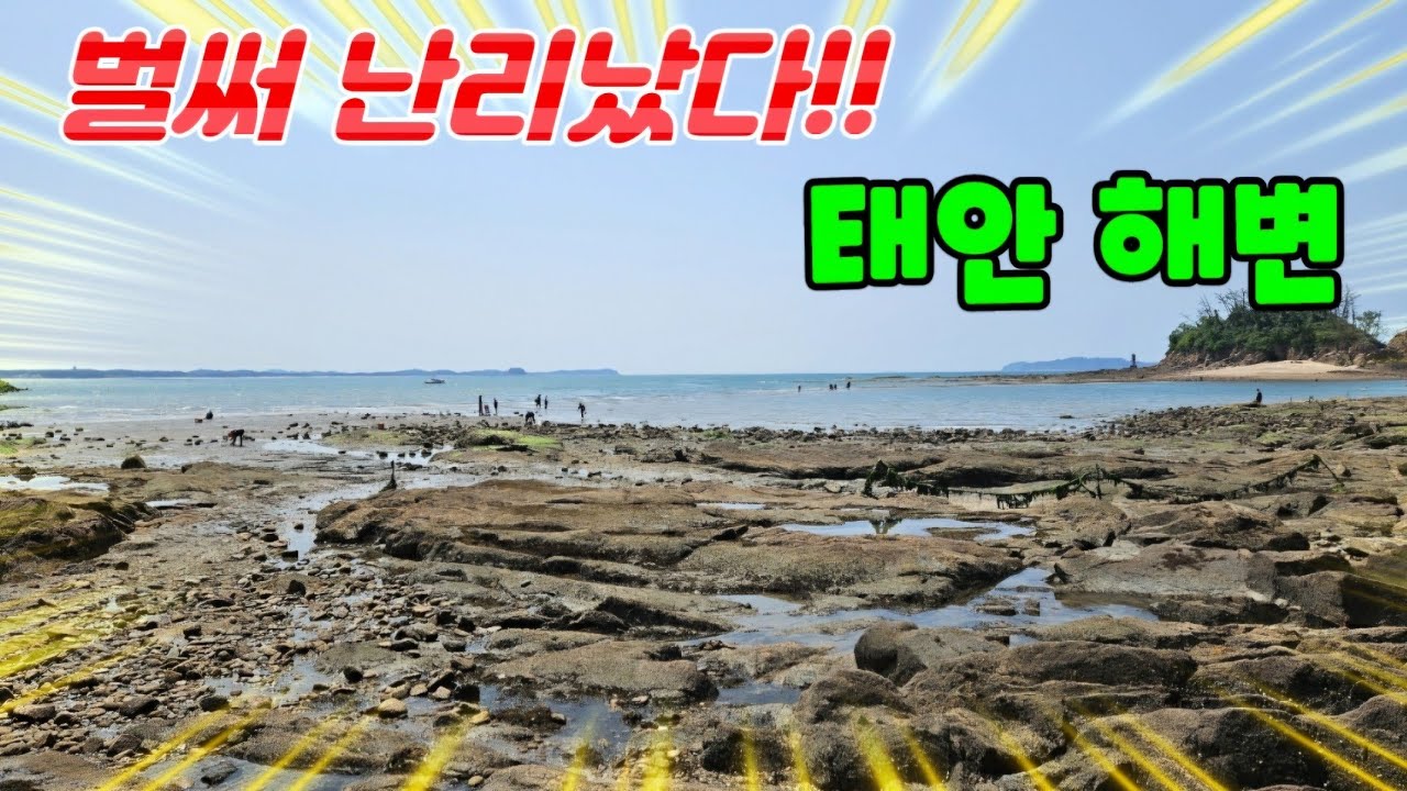 휘몰아치던 바다가 잠잠해지면 잡는 최고의 안주!