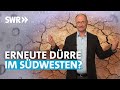 Dürrefolgen: So viel Regen brauchen wir jetzt | SWR Wissen