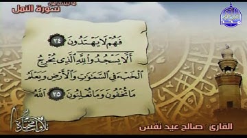 جديد المجد || ما تيسر من سورة " النمل " || القارئ : صالح عيد نفس || من مختارات المجد HD