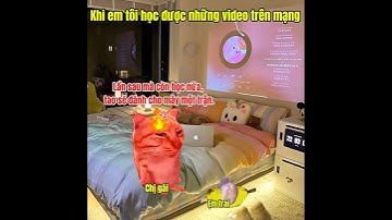 Khi em tôi học được những video trên mạng #meme #catmeme