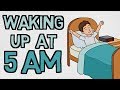 Understanding Sleep Chronotypes and Productivity